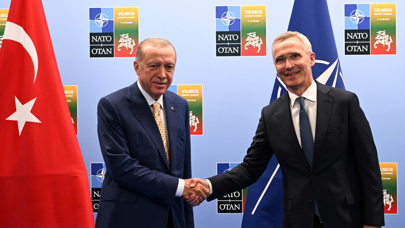 РИА Новости: Эрдоган обсудит с главой НАТО Украину и зерновую сделку