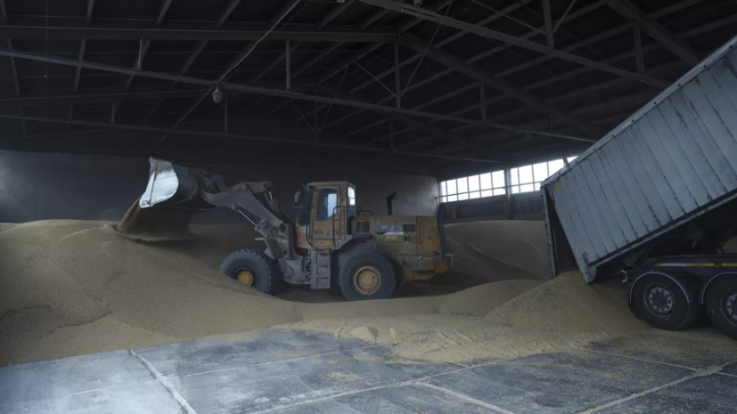 МИД Франции: Париж выделит €40 млн на вывоз украинского зерна в Нигерию и Судан