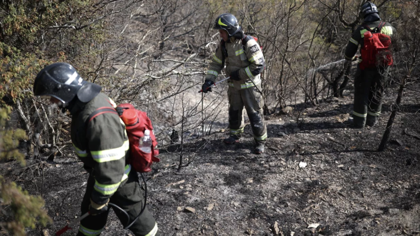 На место возгорания в Геленджикском лесничестве сбросили 12 тонн воды