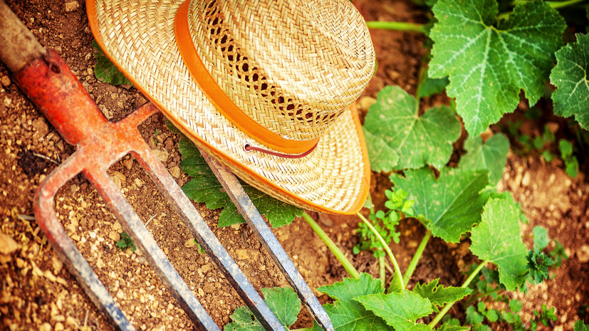 МВД Болгарии сообщило о договорённостях с протестующими фермерами о месте акции