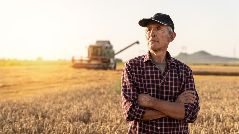 В Болгарии фермеры объявили властям ультиматум из-за украинского зерна
