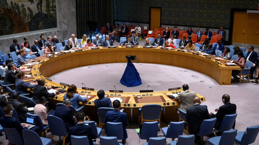 Песков: многие страны считают, что Совбез ООН должен стать более инклюзивным