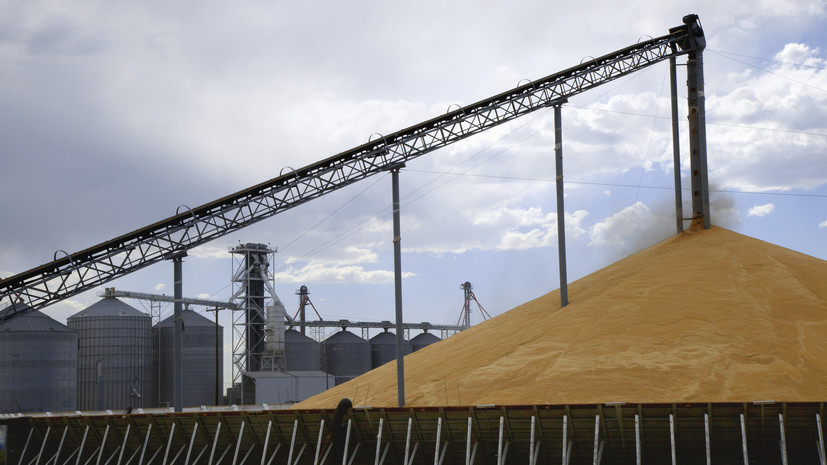 Bloomberg: Египет закупит пшеницу в Болгарии и Франции вместо России