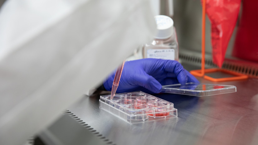 Вирусолог Аграновский: развитие SARS-CoV-2 пошло по благоприятному для человечества пути