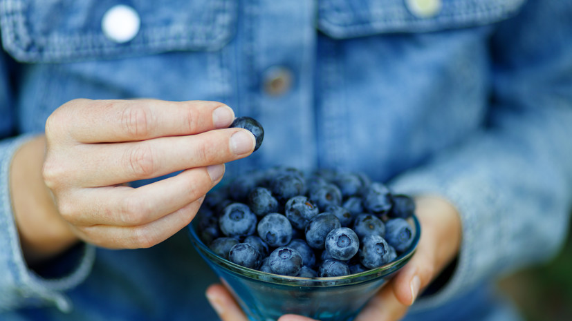 Диетолог Соломатина посоветовала есть чернику и ежевику для улучшения памяти
