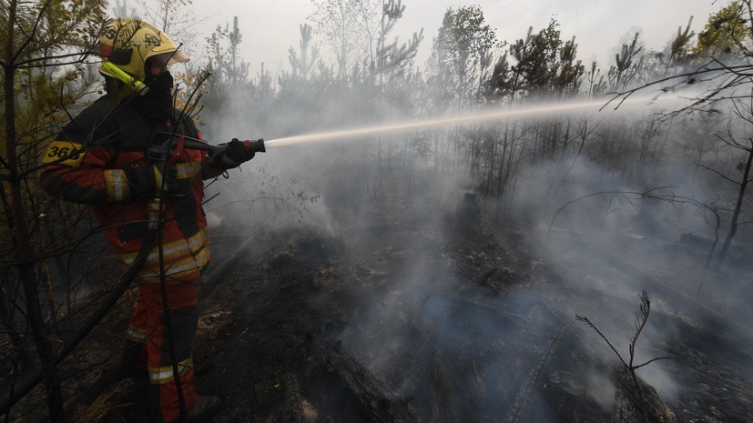 В Краснодарском крае произошёл пожар в лесу