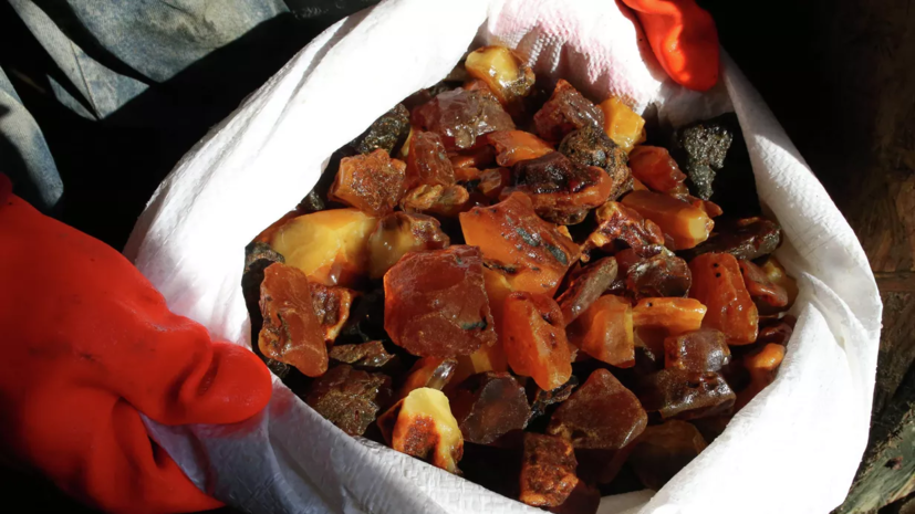 В Калининградской области полиция провела работу по противодействию добыче янтаря