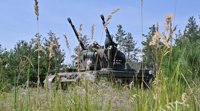 Германия поставила на Украину боеприпасы для ЗСУ Gepard