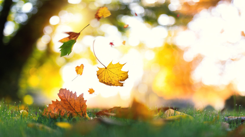 Специалисты предупредили о похолодании в Пермском крае в течение недели