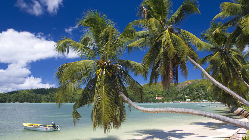 Africa news: на Сейшелах лидеру оппозиции предъявлено обвинение в колдовстве