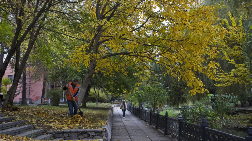 В Москве усилили работу по очистке дорог от листвы