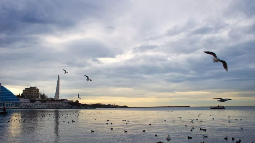Развожаев сообщил о воздушной тревоге в Севастополе