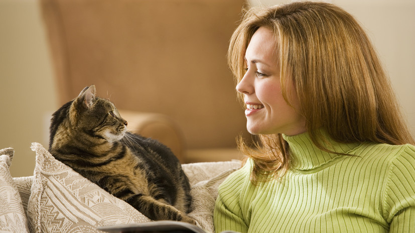 Психиатр Шадрикова: общение с кошками — перспективный метод психокоррекции