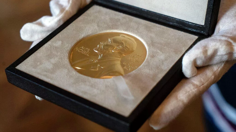 Специалист Мальцев прокомментировал присуждение Нобелевской премии по экономике