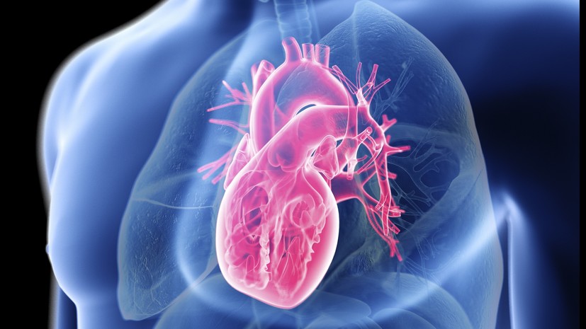 «Улучшить качество устройств»: учёные разработали нейросеть для изготовления искусственных сердечных клапанов