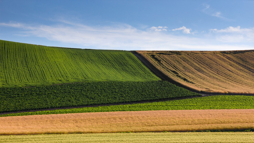 В Курганской области введут дополнительные меры поддержки для аграриев