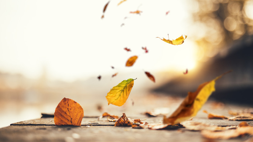 В Ульяновской области ожидается усиление ветра до 22 м/с