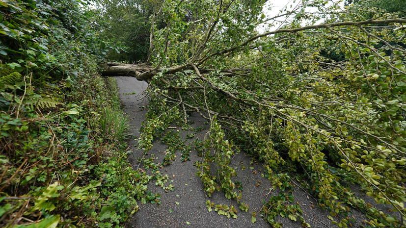 В Кировской области объявлено штормовое предупреждение из-за ветра до 20 м/с