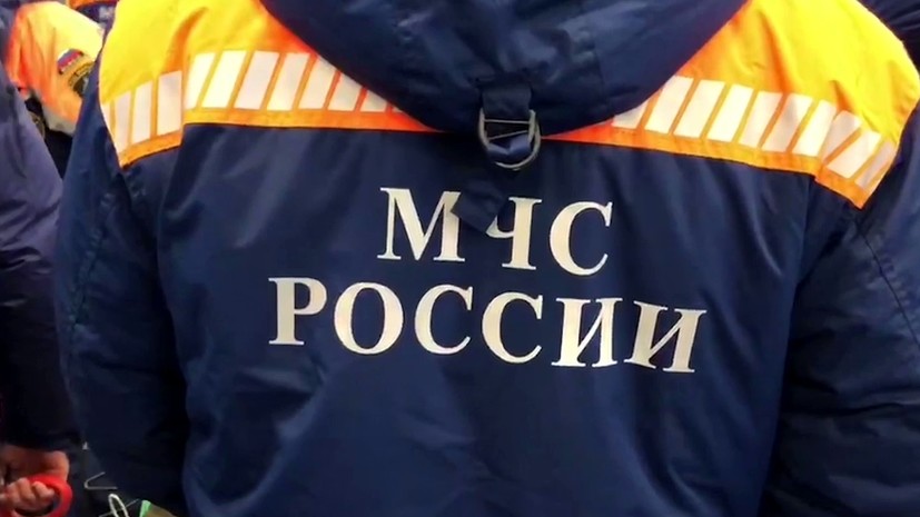 Три человека пострадали при падении дерева в Саранске