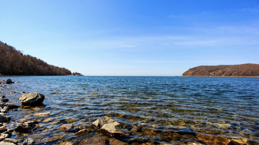 Володин поручил изучить исключение нормы о рубках из проекта об охране Байкала