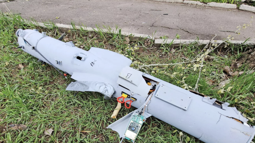 В Саратовской области обнаружили обломки БПЛА