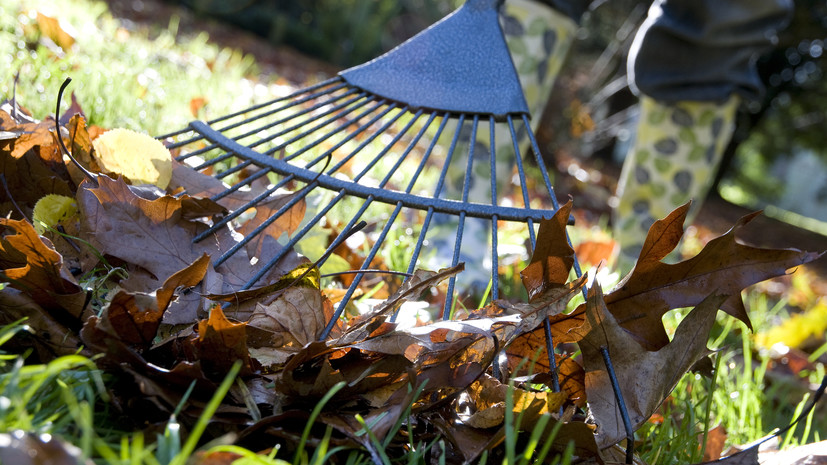 Участниками субботника в Тюмени стали почти 20 тысяч человек