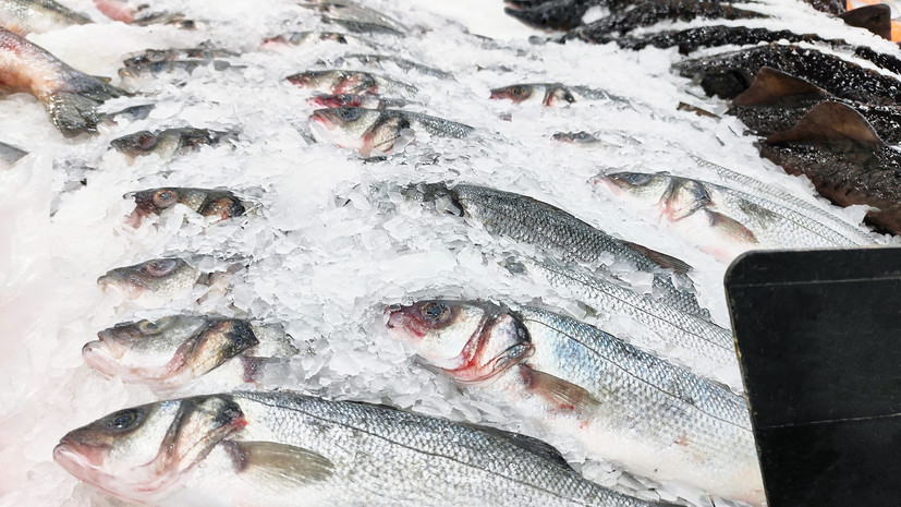 Япония призвала Россию снять ограничения на импорт рыбной продукции