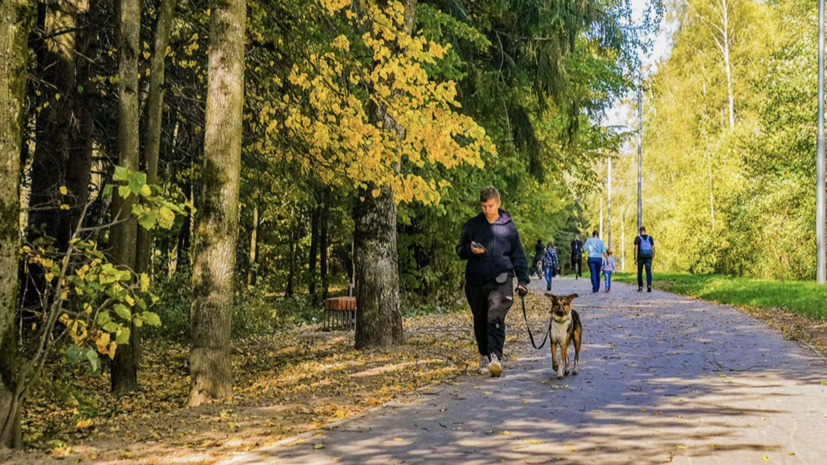 Собянин рассказал о благоустройстве общественных пространств в Зеленограде