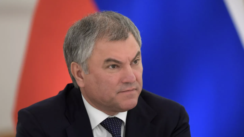 Володин: проект о праве отбывших заключение работать учителями ошибочен