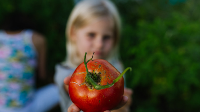 В ГД предложили собрать сообщество экспертов по вопросу вегетарианства среди детей