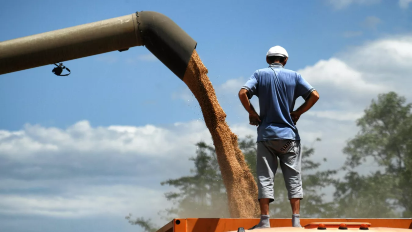 Шмыгаль: больше половины экспортного зерна с Украины идёт через Румынию