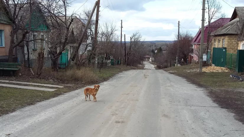 Власти Лохова и Бухалова рассказали, что их устраивают названия сёл ...