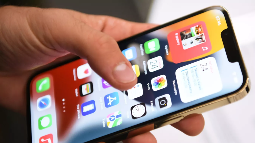 Число участников проекта «Омская область: ПРОдвижение» превысило 8000