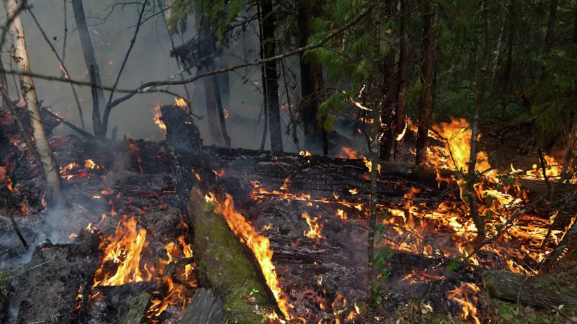 Пожароопасный сезон завершили в Свердловской области