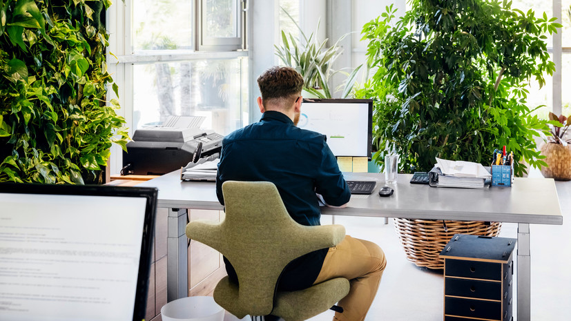 В России упростят переход в самозанятые для предпринимателей