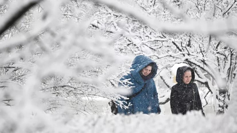Синоптик Колесов заявил, что Ленобласть входит в предзимье