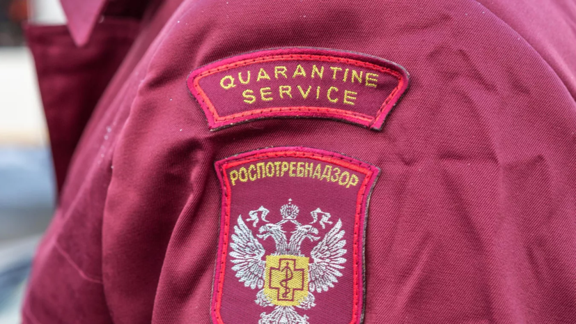 Роспотребнадзор: причина болезни у жителей Ессея Красноярского края — инфекция