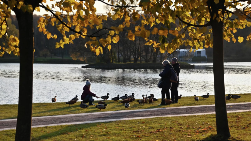 Вильфанд назвал сентябрь 2023 года самым жарким в истории метеонаблюдений