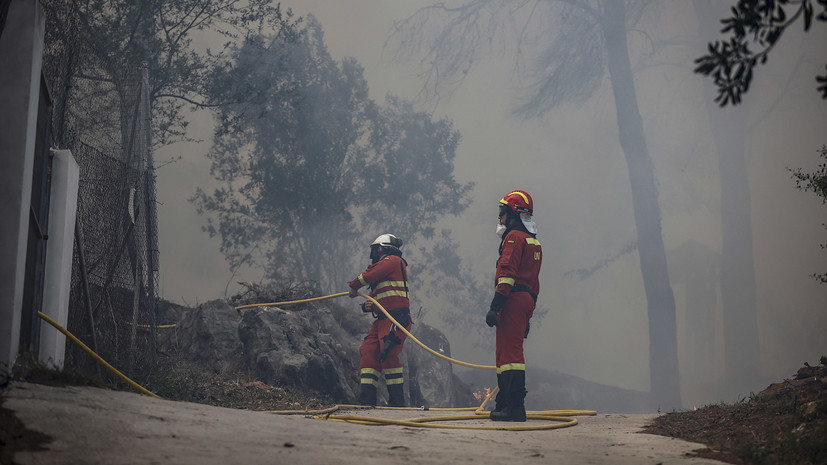 В Испании из-за лесного пожара эвакуировали более 800 человек