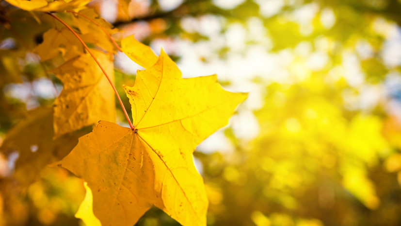 В Уфе зарегистрировали новый абсолютный температурный рекорд