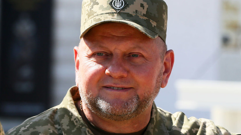 Украинский нардеп опроверг представление об отставке Залужного