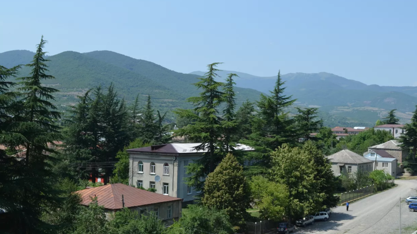 МИД Южной Осетии: из-за инцидента на приграничной территории погиб гражданин Грузии