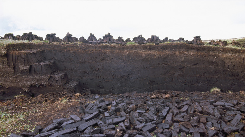 Разработана стратегия восстановления экосистемы на месте заброшенных торфяников