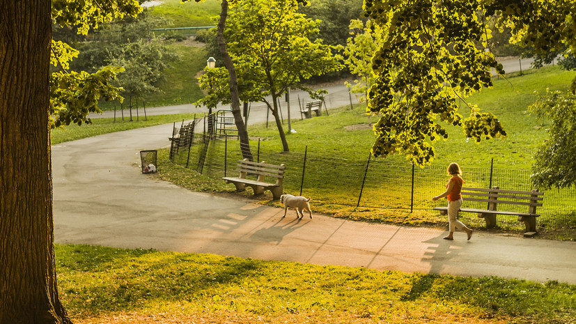 Парки Подмосковья приняли более 5 млн посетителей в октябре 2023 года