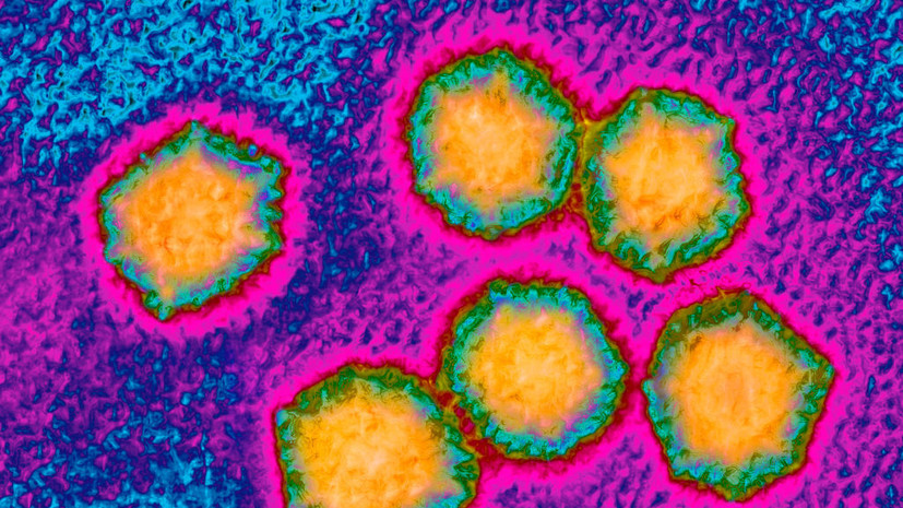 Гепатит А зафиксирован уже в четвёртой области Украины