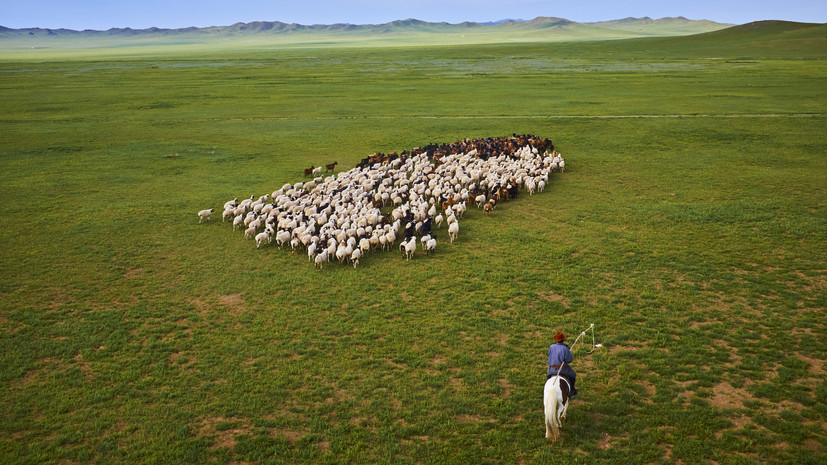 СК: убийца из Солнечногорска 29 лет скрывался, работая пастухом в КБР