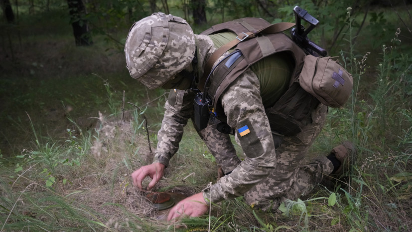 Фиксация преступлений: международные эксперты указали на нарушение Киевом конвенции о запрете противопехотных мин