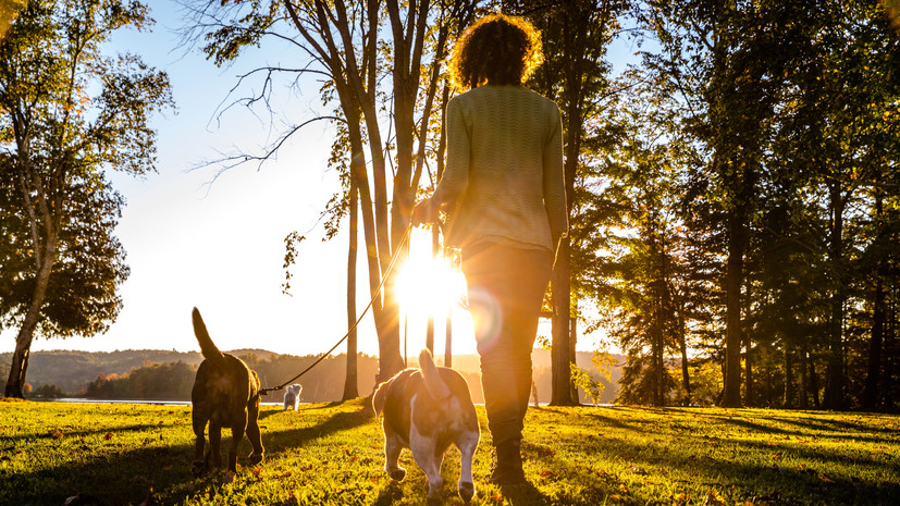 Терапевт Махмудова посоветовала чаще гулять в солнечную погоду осенью