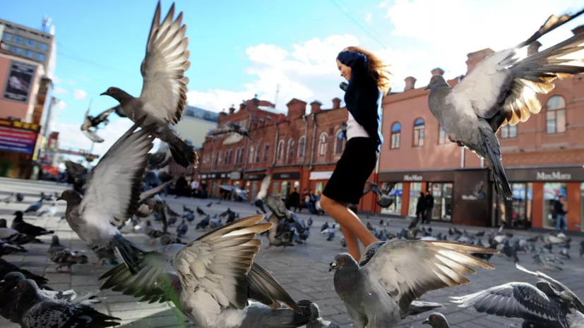 Жителей Подмосковья пригласили принять участие в акции по наблюдению за птицами