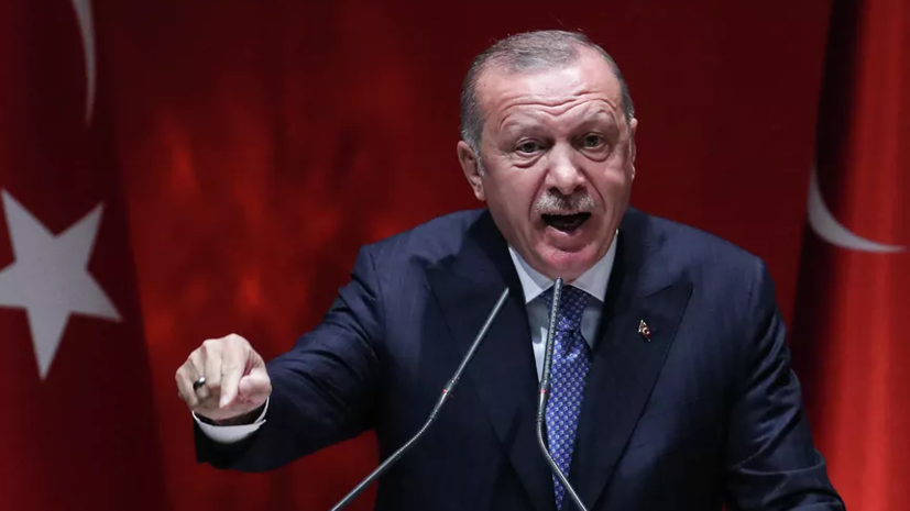 Эрдоган напомнил Шольцу о препятствиях в поставках зерна и удобрений из России